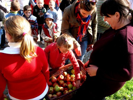 Útravalóul mindenki kapott egy (két...) finom almát